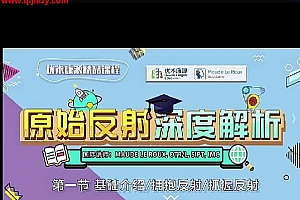 国际课程原始反射整合深度解析视频课程5集百度网盘下载学习
