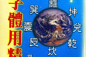 刘金财著八字体用精神电子书pdf百度网盘下载学习