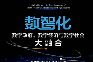张建锋著数智化数字政府数字经济与数字社会大融合电子书pdfmobiepub格式百度网盘下载学习