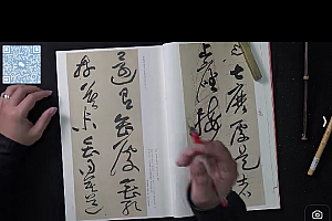 王玺解密黄庭坚诸上座视频课程18集百度网盘下载学习