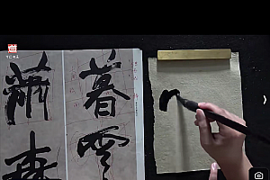 王玺老师带你走进赵之谦行书临创转换视频课程20集百度网盘下载学习