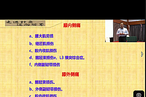 王连彬王氏实战双针术视频课程43集百度网盘下载学习