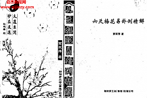 贾双萍著六爻梅花易卦例精解电子书pdf百度网盘下载学习