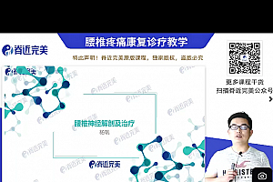 杨帆腰椎疼痛康复诊疗教学标准化评估工具案例实践12讲百度网盘下载学习