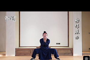 邢建雄武当道家五行气功+袁师懋开胯八段锦视频课程合集百度网盘下载学习