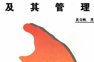 黄奇帆著谈浦东开发的战略政策及其管理电子书pdf百度网盘下载学习